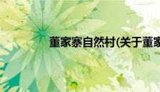董家寨自然村(关于董家寨自然村的简介)