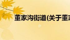 董家沟街道(关于董家沟街道的简介)