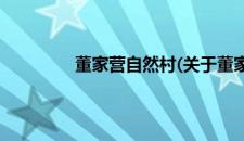 董家营自然村(关于董家营自然村的简介)