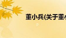 董小兵(关于董小兵的简介)