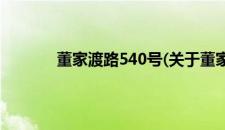 董家渡路540号(关于董家渡路540号的简介)