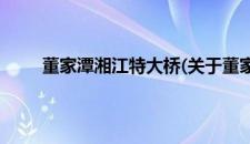 董家潭湘江特大桥(关于董家潭湘江特大桥的简介)