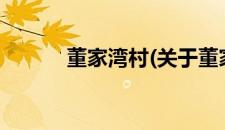 董家湾村(关于董家湾村的简介)