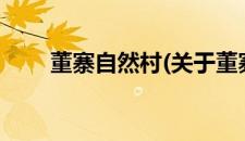 董寨自然村(关于董寨自然村的简介)