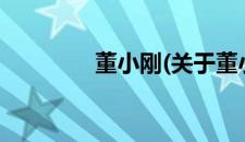董小刚(关于董小刚的简介)