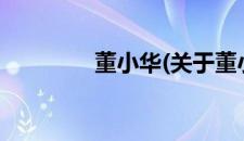 董小华(关于董小华的简介)