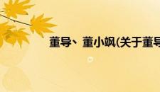 董导丶董小飒(关于董导丶董小飒的简介)