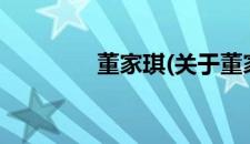 董家琪(关于董家琪的简介)