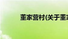 董家营村(关于董家营村的简介)