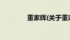 董家辉(关于董家辉的简介)