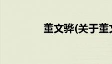 董文骅(关于董文骅的简介)