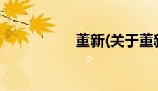 董新(关于董新的简介)