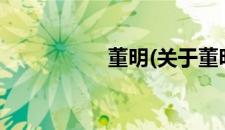 董明(关于董明的简介)