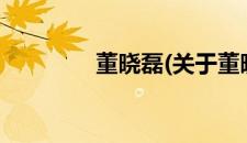 董晓磊(关于董晓磊的简介)