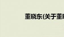 董晓东(关于董晓东的简介)