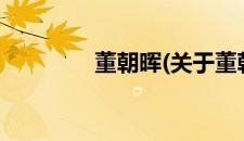 董朝晖(关于董朝晖的简介)