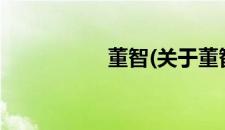 董智(关于董智的简介)