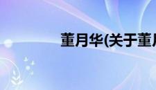 董月华(关于董月华的简介)
