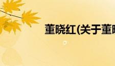 董晓红(关于董晓红的简介)