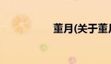 董月(关于董月的简介)