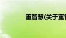 董智慧(关于董智慧的简介)