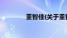 董智佳(关于董智佳的简介)