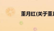 董月红(关于董月红的简介)
