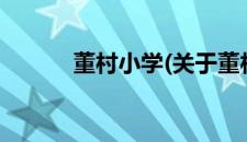 董村小学(关于董村小学的简介)