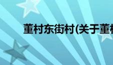 董村东街村(关于董村东街村的简介)