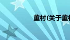 董村(关于董村的简介)