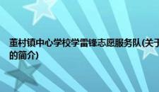 董村镇中心学校学雷锋志愿服务队(关于董村镇中心学校学雷锋志愿服务队的简介)