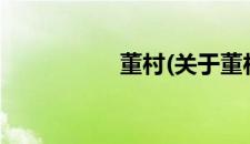 董村(关于董村的简介)