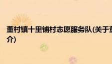 董村镇十里铺村志愿服务队(关于董村镇十里铺村志愿服务队的简介)