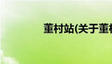 董村站(关于董村站的简介)