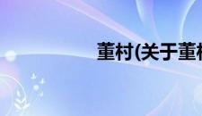 董村(关于董村的简介)