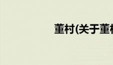 董村(关于董村的简介)