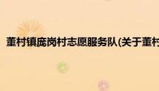 董村镇庞岗村志愿服务队(关于董村镇庞岗村志愿服务队的简介)