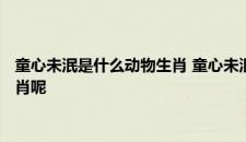 童心未泯是什么动物生肖 童心未泯是什么动物生肖具体是什么生肖呢