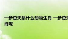 一步登天是什么动物生肖 一步登天是什么动物生肖具体是什么生肖呢