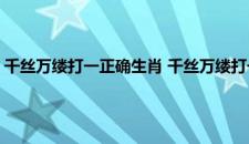 千丝万缕打一正确生肖 千丝万缕打一正确生肖具体是什么生肖呢