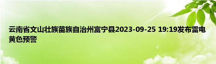 云南省文山壮族苗族自治州富宁县2023