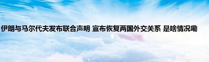 伊朗与马尔代夫发布联合声明 宣布恢复两国外交关系 是啥情况嘞