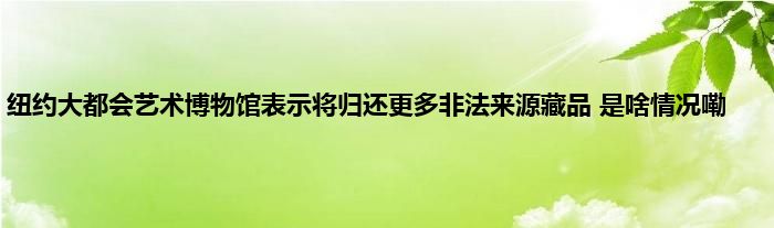 纽约大都会艺术博物馆表示将归还更多非法来源藏品 是啥情况嘞