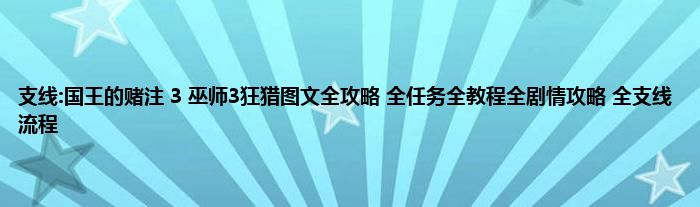 支线:国王的赌注 3 巫师3狂猎图文全攻略 全任务全教程全剧情攻略 全支线流程