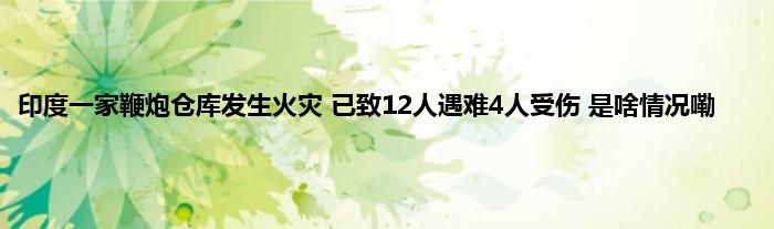 印度一家鞭炮仓库发生火灾 已致12人遇难4人受伤 是啥情况嘞