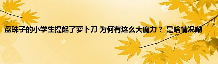 盘珠子的小学生提起了萝卜刀 为何有这么大魔力？ 是啥情况嘞