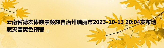云南省德宏傣族景颇族自治州瑞丽市2023