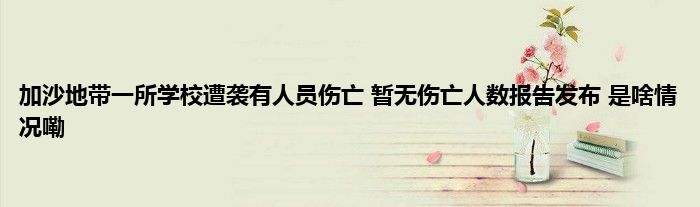 加沙地带一所学校遭袭有人员伤亡 暂无伤亡人数报告发布 是啥情况嘞