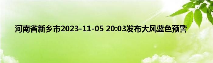 河南省新乡市2023