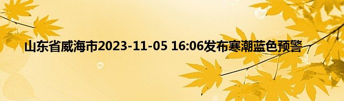 山东省威海市2023